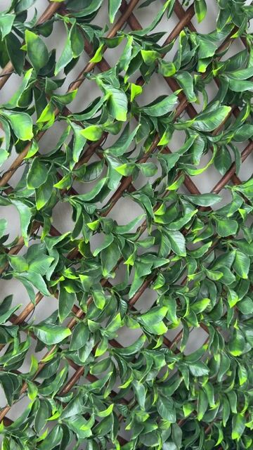 Espalier, UV, kunstig plante video thumbnail